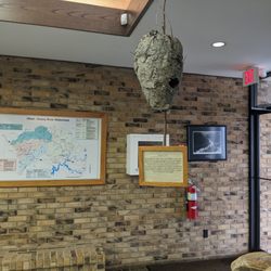 Obed Wild and Scenic River - Visitor center exhibit - wasp nest