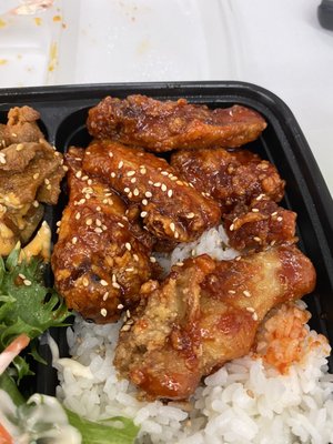Korean Bobcha by null