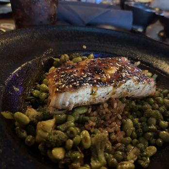 Tap 42 - Doral - Grilled Salmon Zen Bowl - American Near Me - Doral, Florida