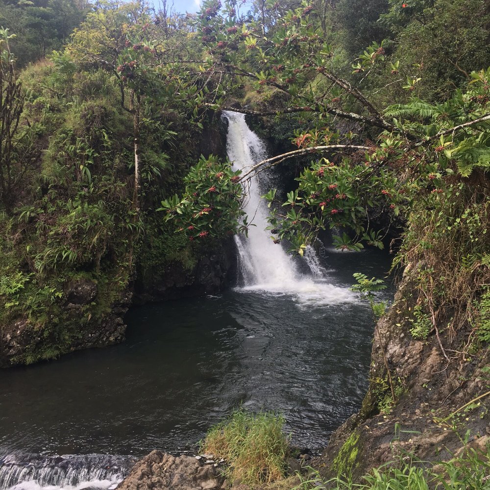 Valley Isle Excursions - Historical Tours Near Me - Wailuku, Hawaii