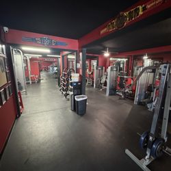 Ace Fitness