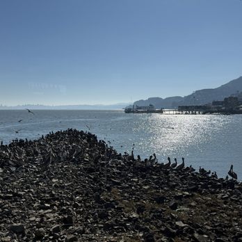 The Spinnaker - The view! - Breakfast & Brunch Near Me - Sausalito, California