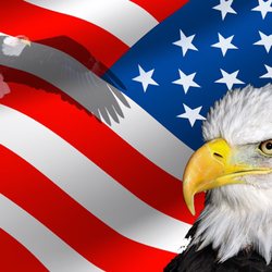 Discount Battery - All of our batteries at Discount Battery are made in the USA!