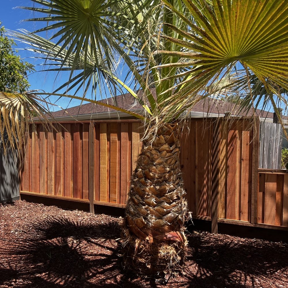 Ergeon - Fence - Fences & Gates Near Me Ergeon - Fence - Fences & Gates Near Me