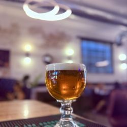 Cruise Control Kitchen and Cellar - Happy Hour Beer Schooners $9!