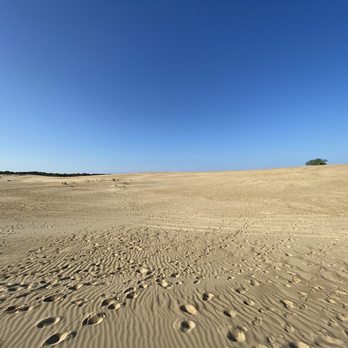 Jockey's Ridge State Park - Parks Near Me - Nags Head, North Carolina Jockey's Ridge State Park - Parks Near Me - Nags Head, North Carolina