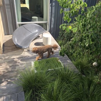 Galanter & Jones - Outdoor deck - Outdoor Furniture Stores Near Me - San Francisco, California