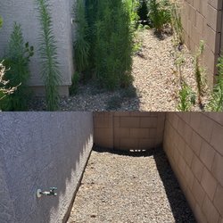 Tucson Pro Cleaners