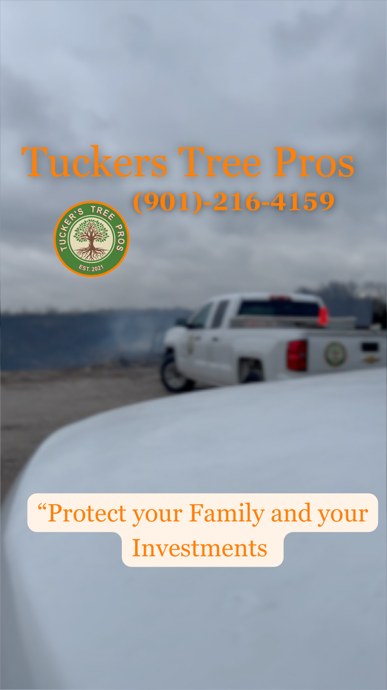 Tucker's Tree Pros - tree service in Memphis, TN