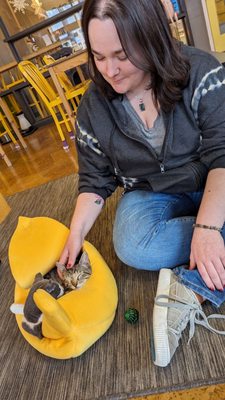 Mauhaus Cat Cafe by null