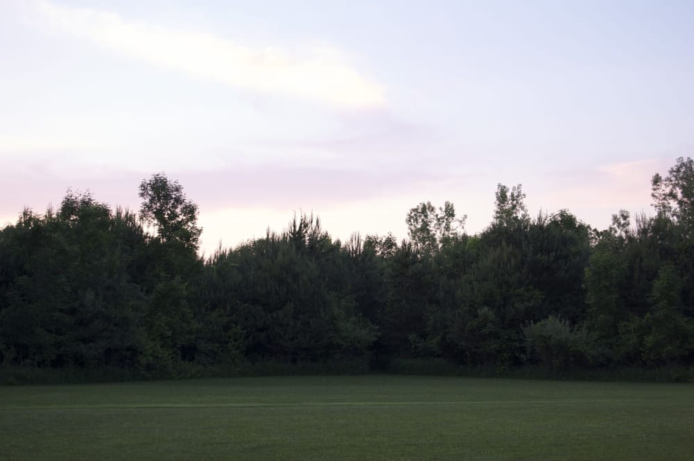 WINDOVER Updated September 2024 3596 Blakely Rd, Owendale, Michigan