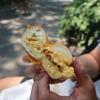 Utopia Bagels - Bacon egg and cheese - Bagels Near Me - New York, New York Utopia Bagels - Bacon egg and cheese - Bagels Near Me - New York, New York