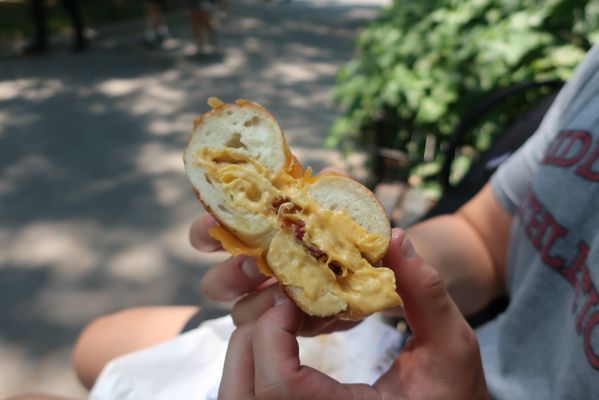 Utopia Bagels by null