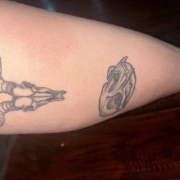 These tattoos were done by Nate (the cow skull) when he was an apprentice still and the other one (the cat skull) was done by Daniel. These tattoos were done by Nate (the cow skull) when he was an apprentice still and the other one (the cat skull) was done by Daniel.