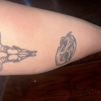 Evil Twin Tattoo - These tattoos were done by Nate (the cow skull) when he was an apprentice still and the other one (the cat skull) was done by Daniel. - Tattoo Near Me - Las Vegas, Nevada Evil Twin Tattoo - These tattoos were done by Nate (the cow skull) when he was an apprentice still and the other one (the cat skull) was done by Daniel. - Tattoo Near Me - Las Vegas, Nevada