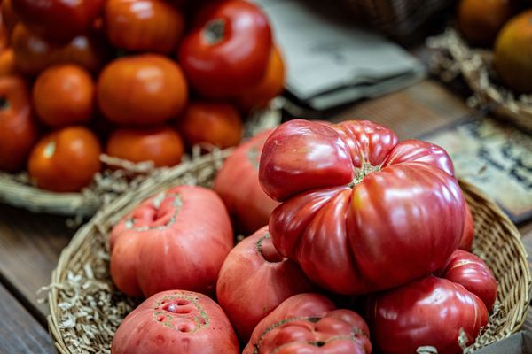 Andy's Orchard by null