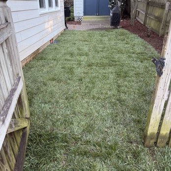 Peak Sodding - Lawn Services Near Me - Holly Springs, North Carolina Peak Sodding - Lawn Services Near Me - Holly Springs, North Carolina