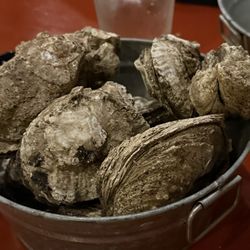 The Tin Fin - Oysters