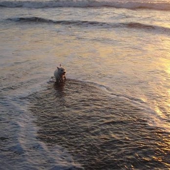 Ocean Beach - Parks Near Me - San Francisco, California