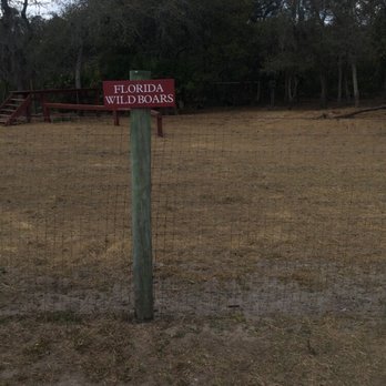 Bill Frederick Park at Turkey Lake - Parks Near Me - Orlando, Florida