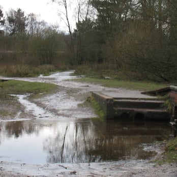 Sutton Park Little Bracebridge Pool - Parks Near Me - Sutton Coldfield, XWM