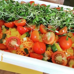 Koken - Groentensalade als garnituur voor een bbq.