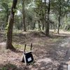 Clower Thornton Nature Park gift card