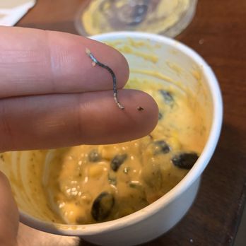 Torchy's Tacos - Queso - Tacos Near Me - Spring, Texas Torchy's Tacos - Queso - Tacos Near Me - Spring, Texas