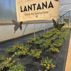 Collier's Greenhouse & Garden Center