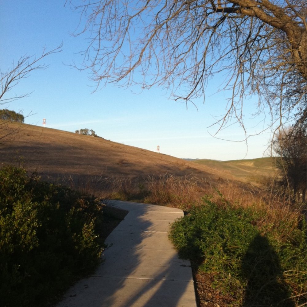 Old Ranch Park Disc Golf Course - Disc Golf Near Me - San Ramon, California Old Ranch Park Disc Golf Course - Disc Golf Near Me - San Ramon, California