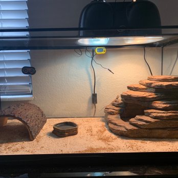 PetSmart - Echo's new home, we got him today! Ty pet smart crew & Pam! - Pet Stores Near Me - Reno, Nevada
