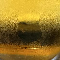 Beef 'O' Brady's - Disgusting.