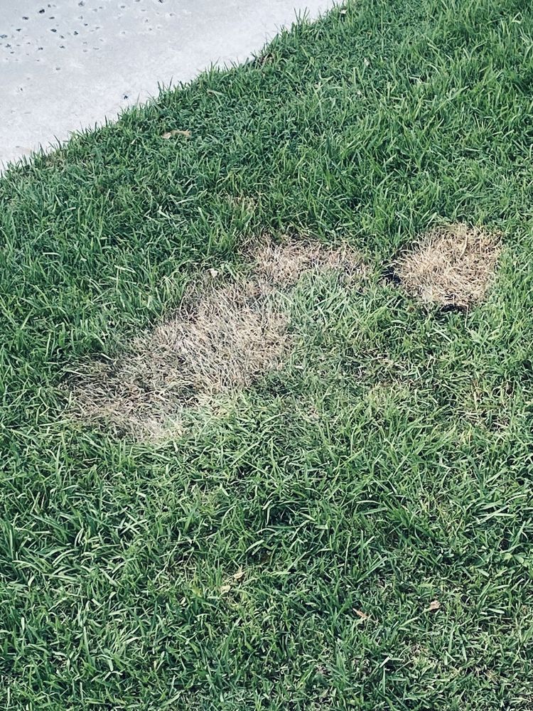 Slide of Campany Roof Maintenance