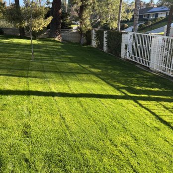 AB Lawn Care - Grass maintenance. - Lawn Services Near Me - Bakersfield, California AB Lawn Care - Grass maintenance. - Lawn Services Near Me - Bakersfield, California
