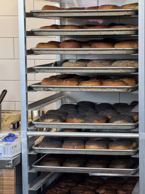 6th Borough Bagels by null