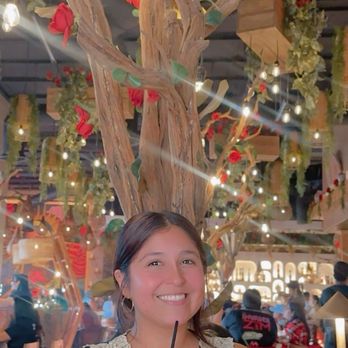 Rosa Madera - Gorgeous rose decor and yummy margaritas! - Mexican Near Me - Sacramento, California Rosa Madera - Gorgeous rose decor and yummy margaritas! - Mexican Near Me - Sacramento, California