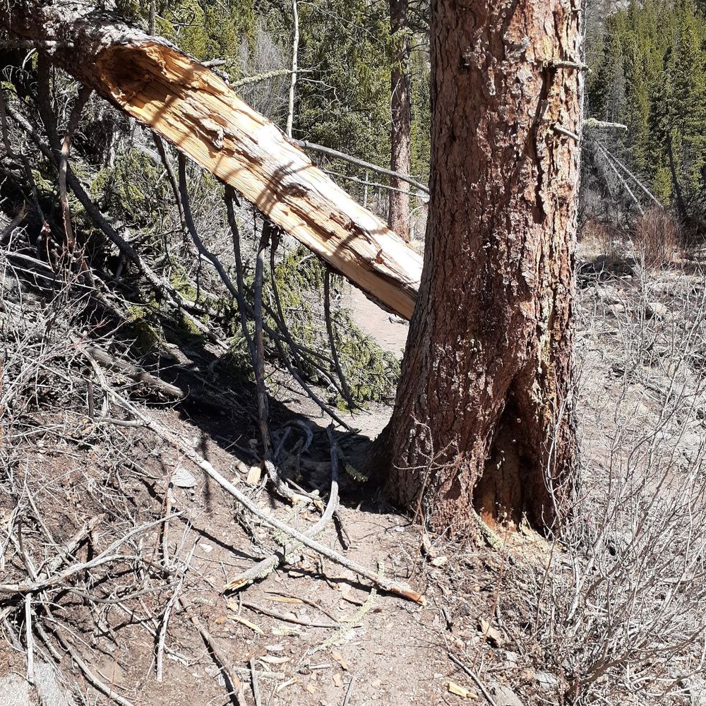 Dunraven Trailhead - Hiking Near Me - Drake, Colorado