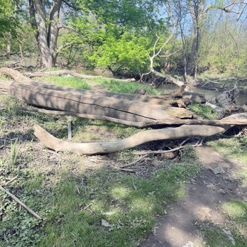 Caldwell Woods - Parks Near Me - Chicago, Illinois