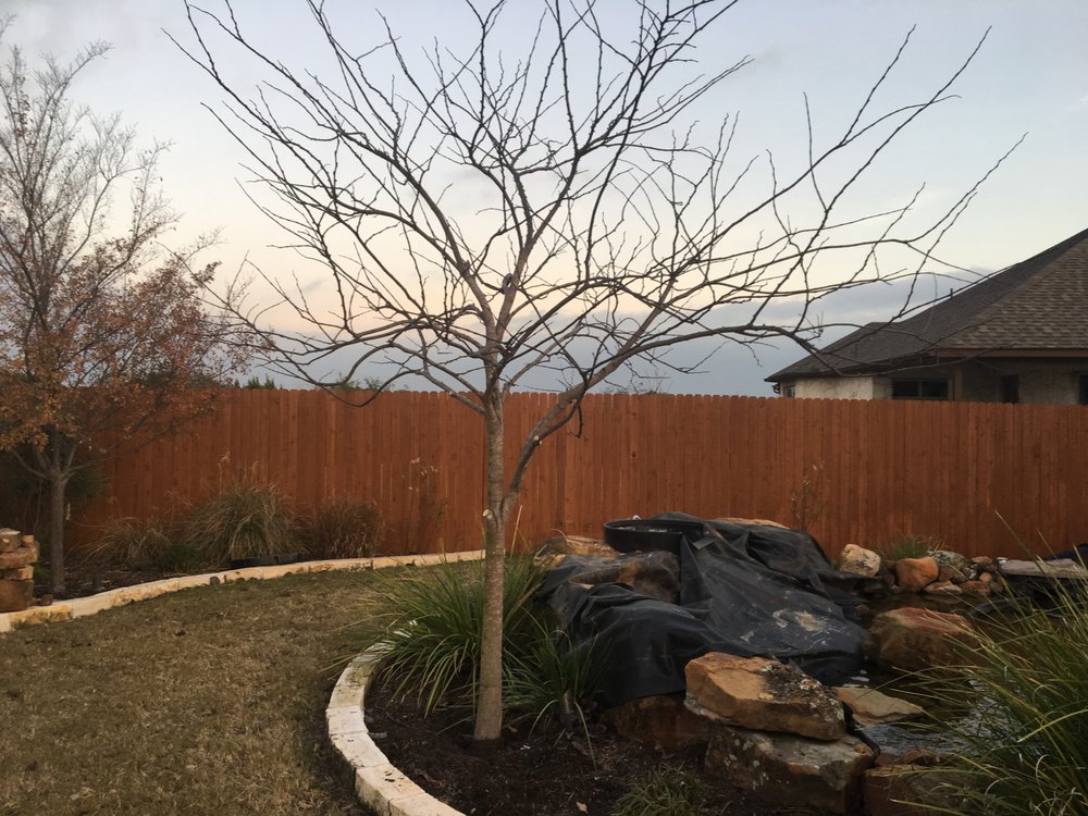 Derks Tree Works - tree service in Austin, TX
