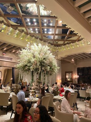 Palm Court by null