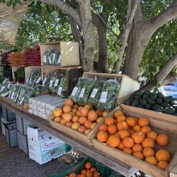 Sage Hill Ranch Gardens - Fruit - orange, grapefruit, avocado