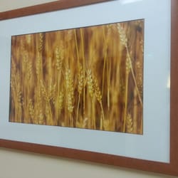Advent Health - Decorated with Kansas scenes.