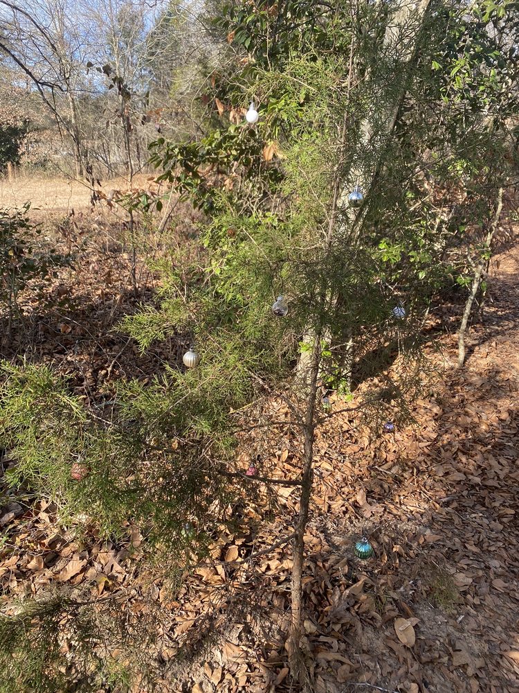 DOLLY COOPER PARK Updated June 2024 170 Spearman Cir, Greenville