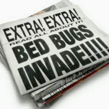 Dead Bug Walkin - Pest Control Near Me - Skiatook, Oklahoma Dead Bug Walkin - Pest Control Near Me - Skiatook, Oklahoma