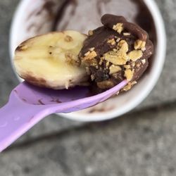Acai Republic - BUG IN MY FOOD