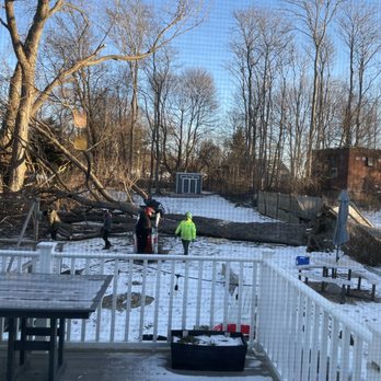 Lopez Landscaping & Tree Service - Tree Services Near Me - Lynn, Massachusetts