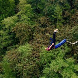 Bungee.com