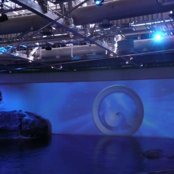 Shedd Aquarium - the new Fantasea show - Aquariums Near Me - Chicago, Illinois Shedd Aquarium - the new Fantasea show - Aquariums Near Me - Chicago, Illinois