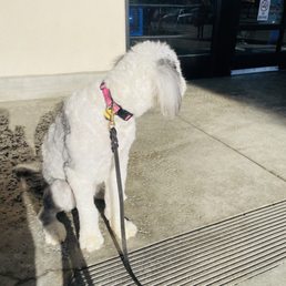 Outside the store. Doesn't want to show her face lol