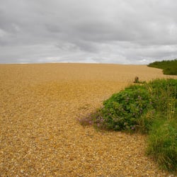 Chesil Beach